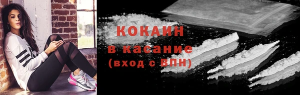 дмт Белокуриха
