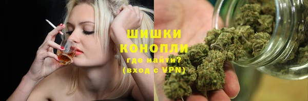 дмт Белокуриха