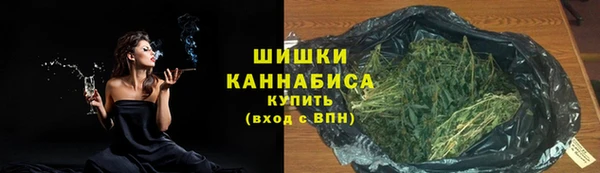гашик Белоозёрский