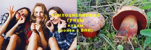 гашик Белоозёрский