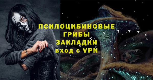 гашик Белоозёрский