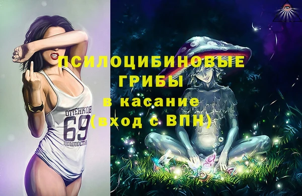 гашик Белоозёрский