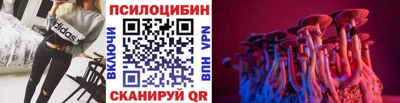 Псилоцибиновые грибы MAGIC MUSHROOMS  Борзя 